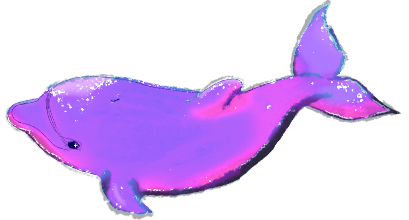 pink dolphin sticker