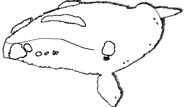 sketch of rocky skecth of rocky